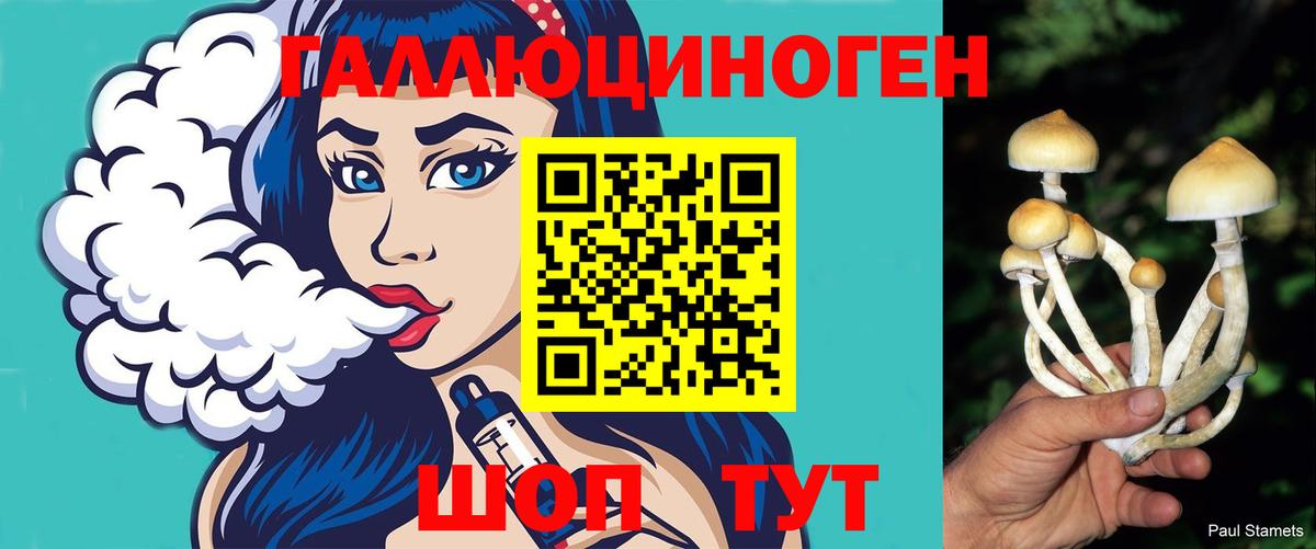 Кудрово  Псилоцибиновые грибы Psilocybine cubensis  Вход с VPN  Галлюциногенные грибы Cubensis 
