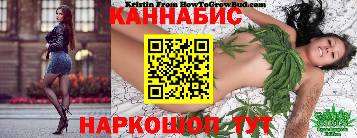 Бошки марихуана конопля Кудрово